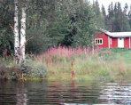 Holiday Home/Cottage "Bäckstugan Lofssjön ", Lofsdalen, Härjedalen
