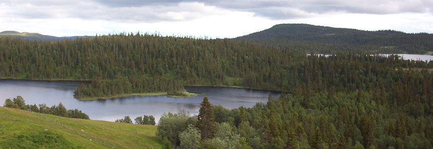 Holiday homes Härjedalen