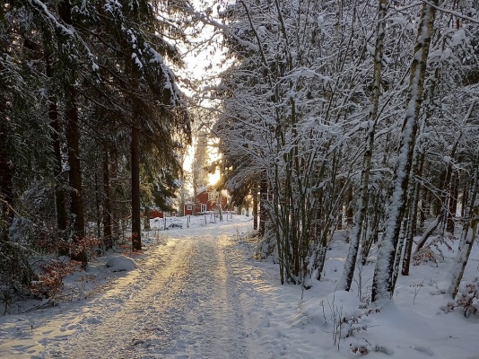 på vintern - 