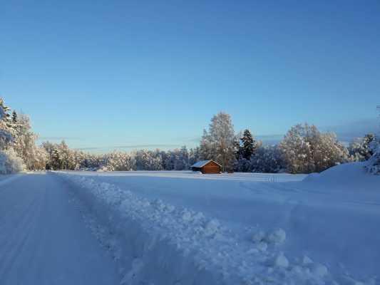 på vintern - 