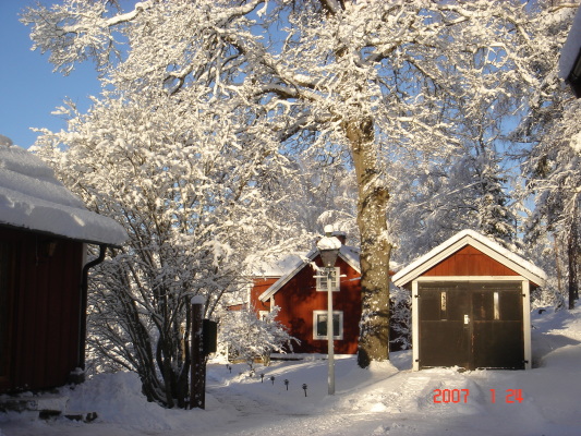 På vintern - 