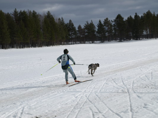 på vintern - 