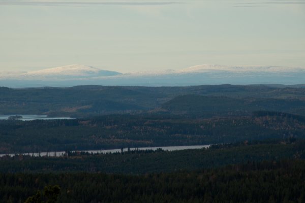 på sommaren - 