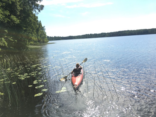 på sommaren - 