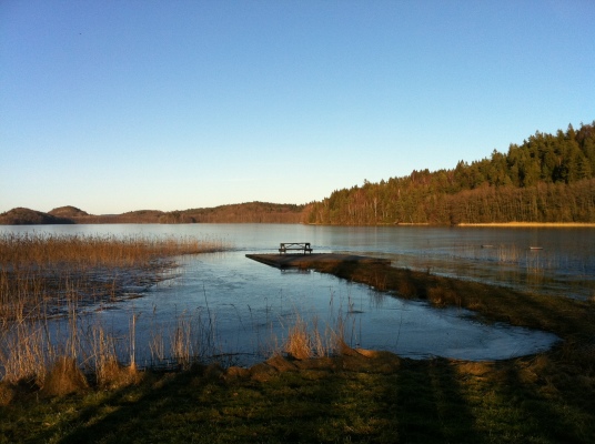 på vintern - 