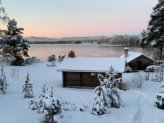 på vintern - 