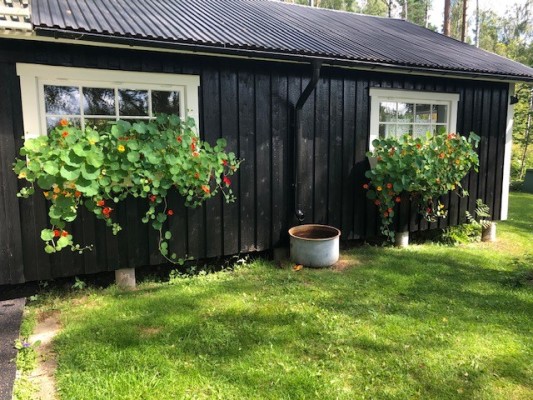 På sommaren - 