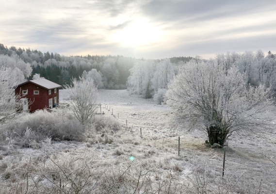 På vintern - 