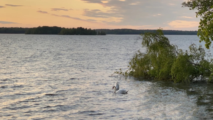 på sommaren - 