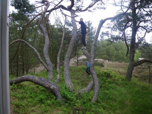 på sommaren - 