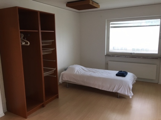 Sonstige - 