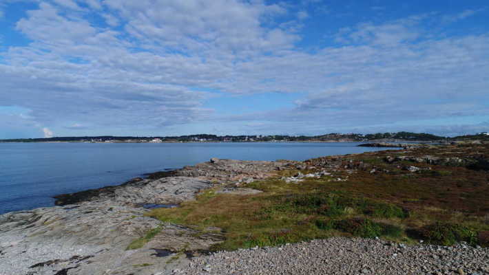 View summer - 