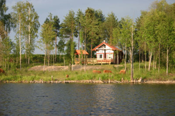 på sommaren - 