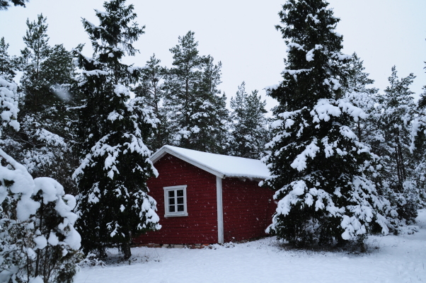 På vintern - 