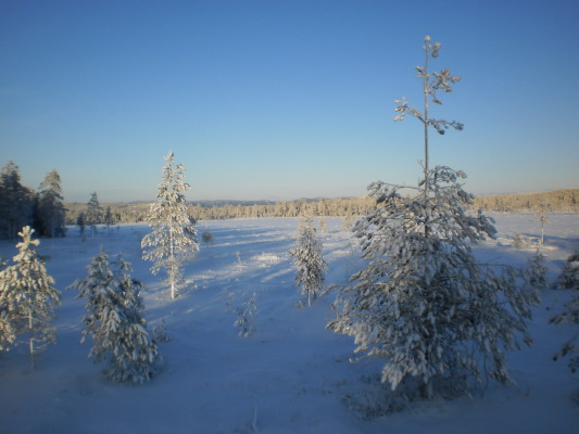 på vintern - 