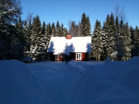 View winter - 