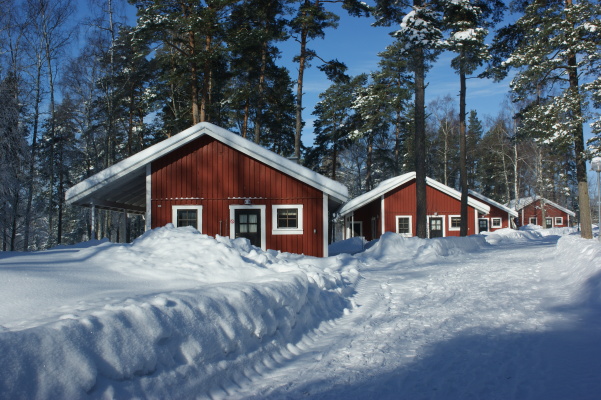 på vintern - 