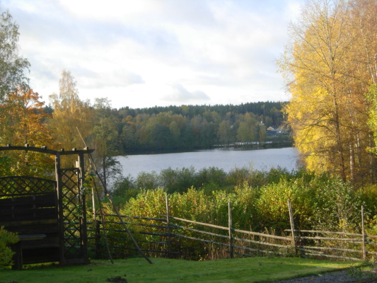 på vintern - 