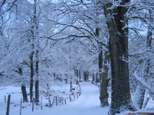 Ansicht Winter - 