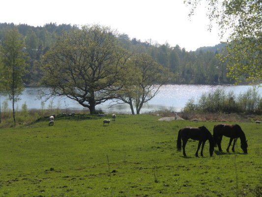 på sommaren - 