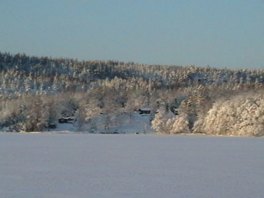 på vintern - 