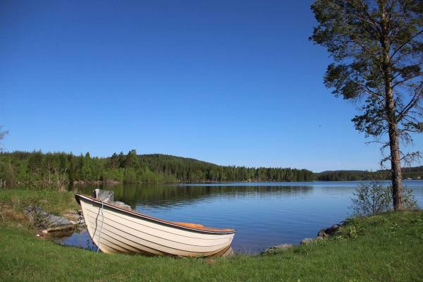 out of house - 