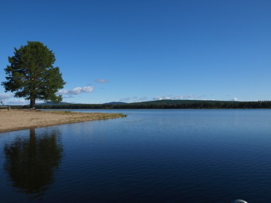 på sommaren - 