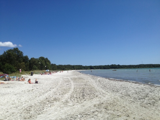 Ansicht Sommer - 