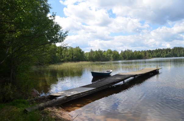 View summer - 