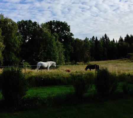 på sommaren - 