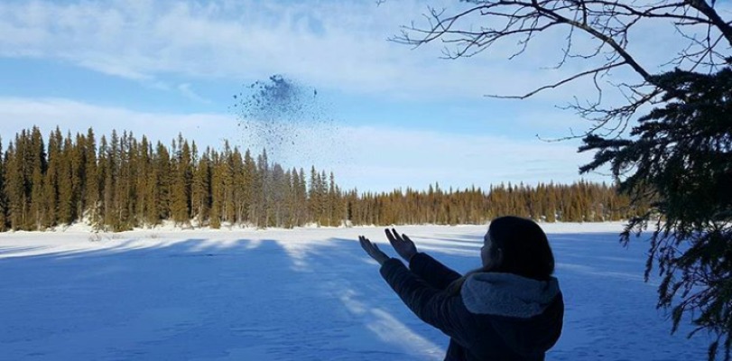 på vintern - 