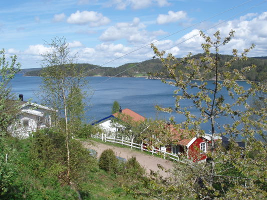 View summer - 