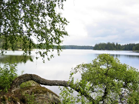 på sommaren - 