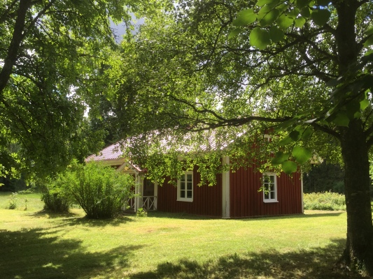 Övrig - 