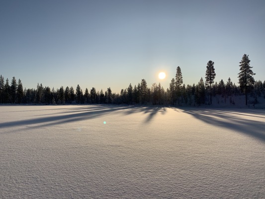 på vintern - 