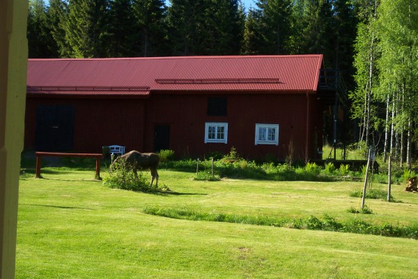 På sommaren - 