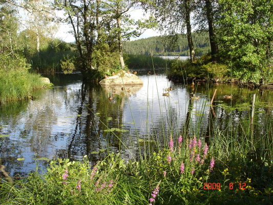 på sommaren - 