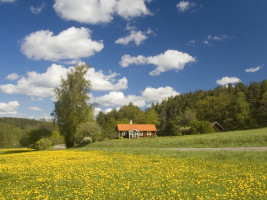 Letar du efter en stuga i Sverige? - Välkommen till Tripto !