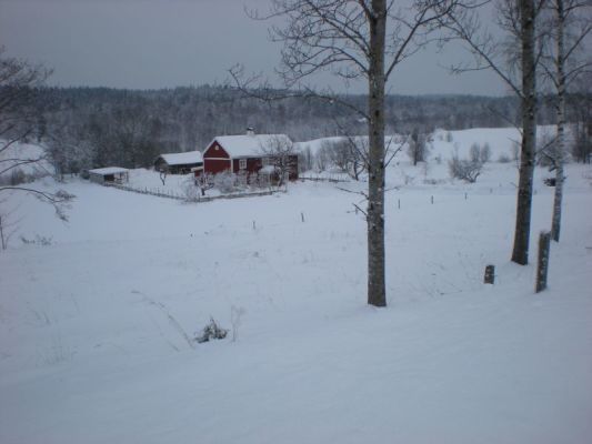 på vintern - 