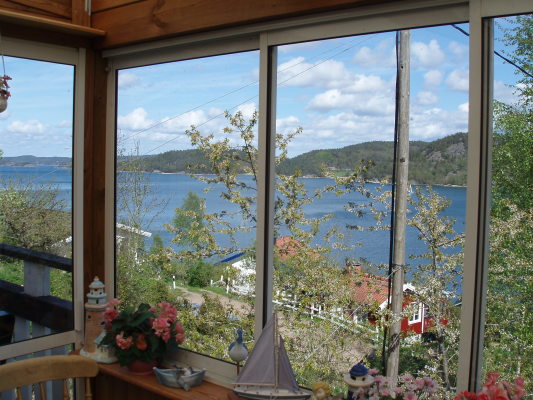 Terrace - 