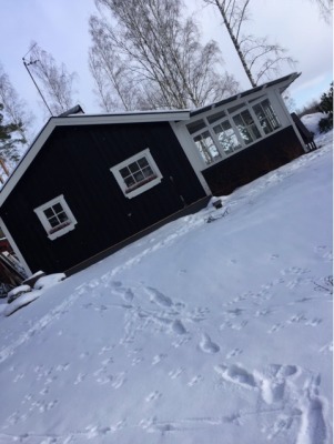 På vintern - 