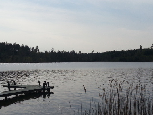 View winter - 