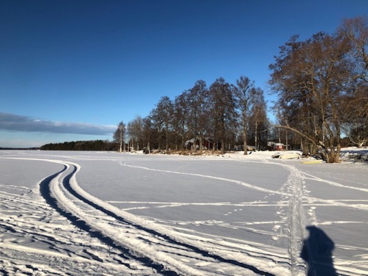 på vintern - 