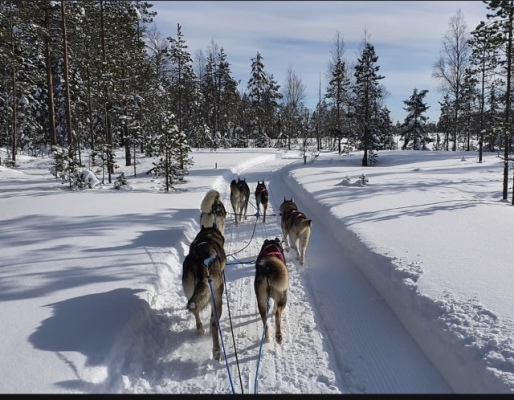 på vintern - 