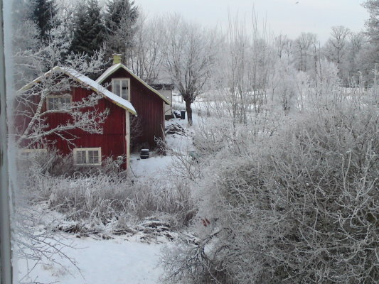 view winter - 