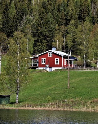 View summer - 