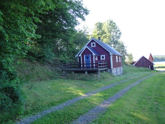 View summer - 