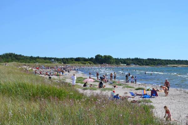 Ansicht Sommer - 