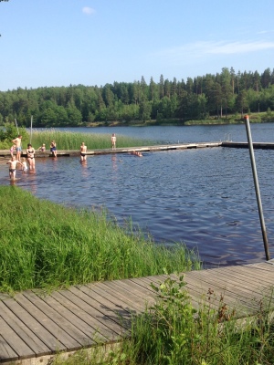 Övrig - 