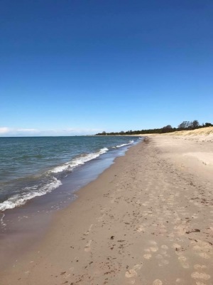 View summer - 